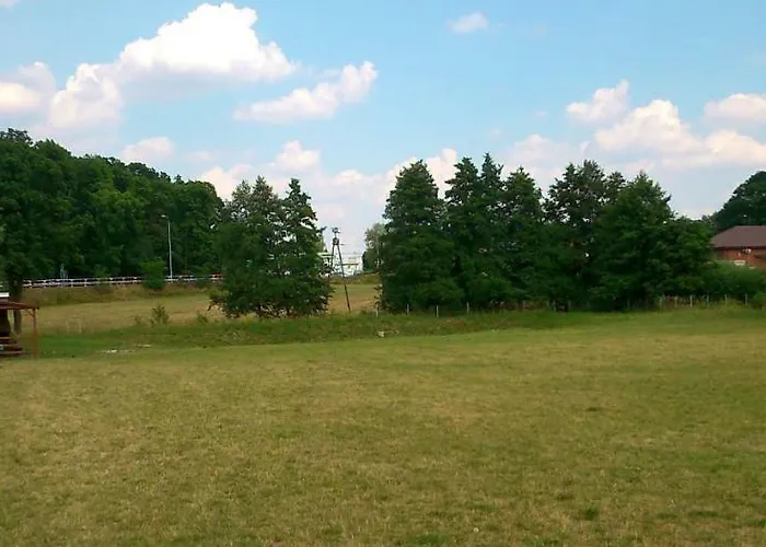 Pod Bocianem * Goluchow